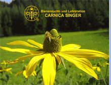 Tablet Screenshot of carnica-singer.at